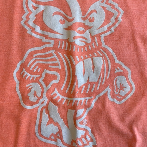 American Apparel Wisconsin Badgers Tee - Picture 2 of 4